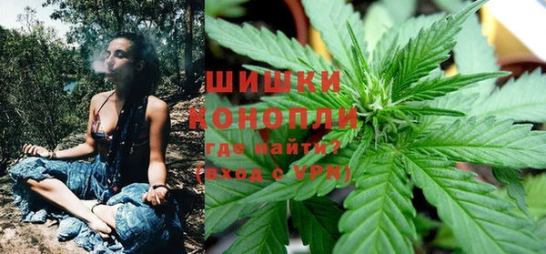 индика Галич