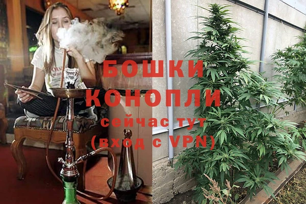 дживик Покров