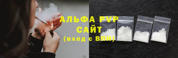 прущие крисы Гвардейск