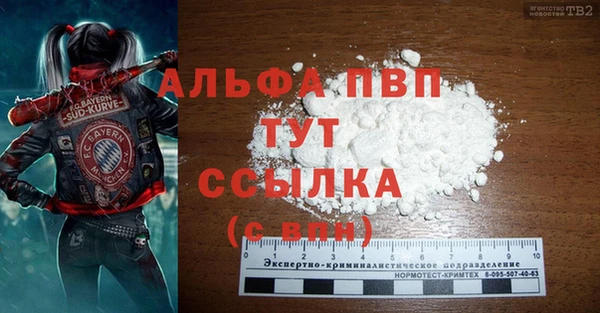прущие крисы Гвардейск