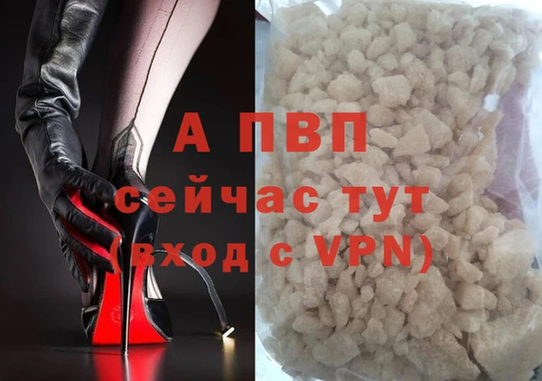 прущие крисы Гвардейск