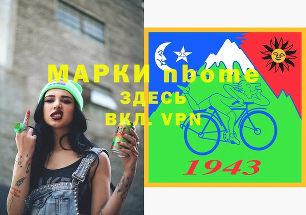 индика Галич