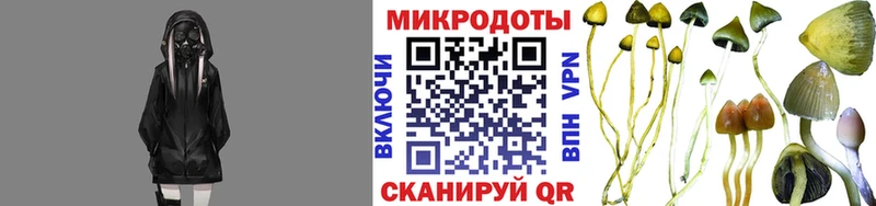 как найти наркотики  Красноярск  Галлюциногенные грибы Psilocybine cubensis 