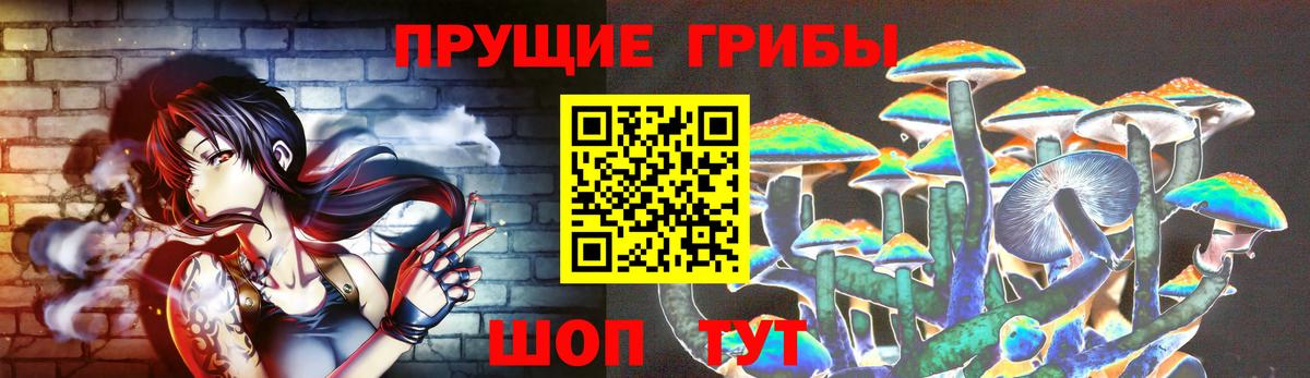 Псилоцибиновые грибы Cubensis Красноярск