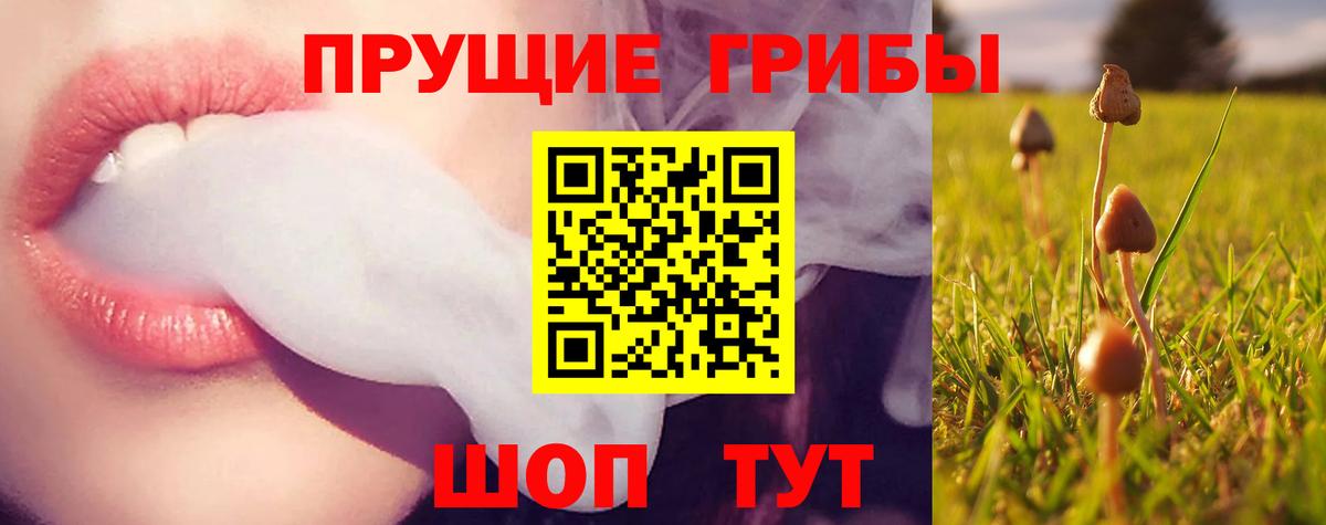 Красноярск  Галлюциногенные грибы ЛСД  Вход с VPN 