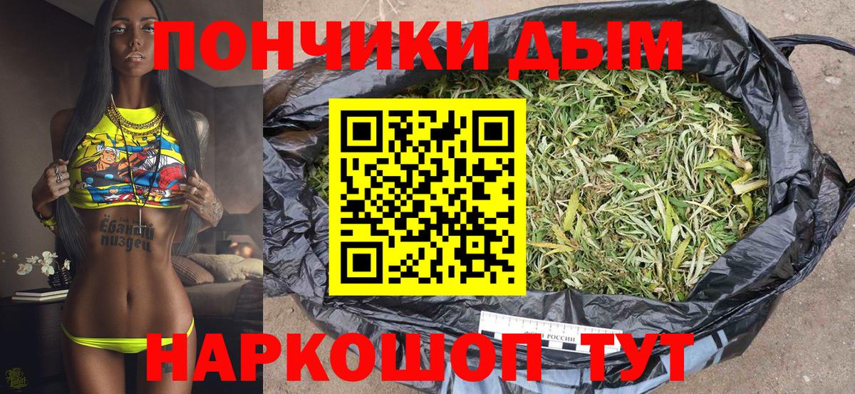 Шишки марихуана конопля Красноярск